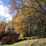 紅葉　長野県　秋晴れ