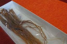 信州産　六年根　紅参全姿　100g