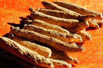 高麗人参生干し人参中国産【500g入】