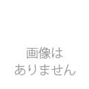 長野県産 紅参 4〜5年