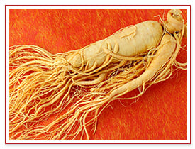 信州産の高麗人参