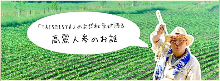 高麗人参について